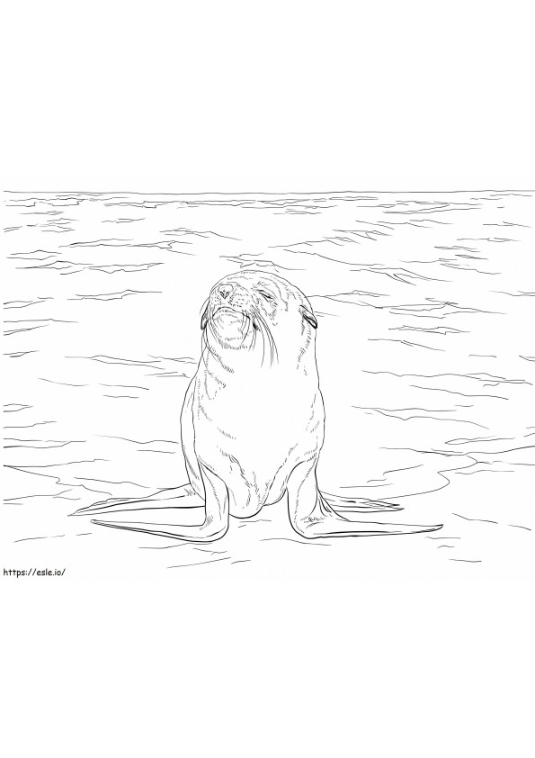 Coloriage Superbe lion de mer brun à imprimer dessin