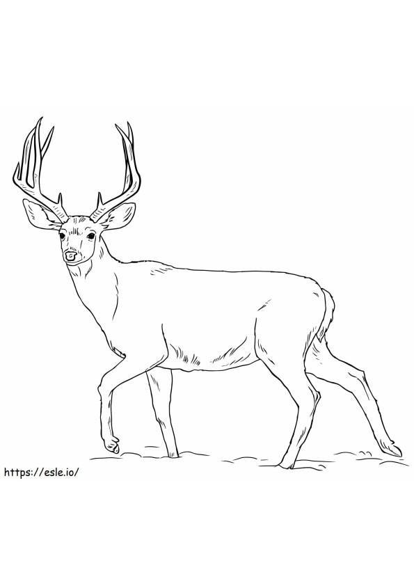 基本的な鹿 ぬりえ - 塗り絵