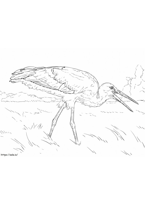 Realistic Stork coloring page