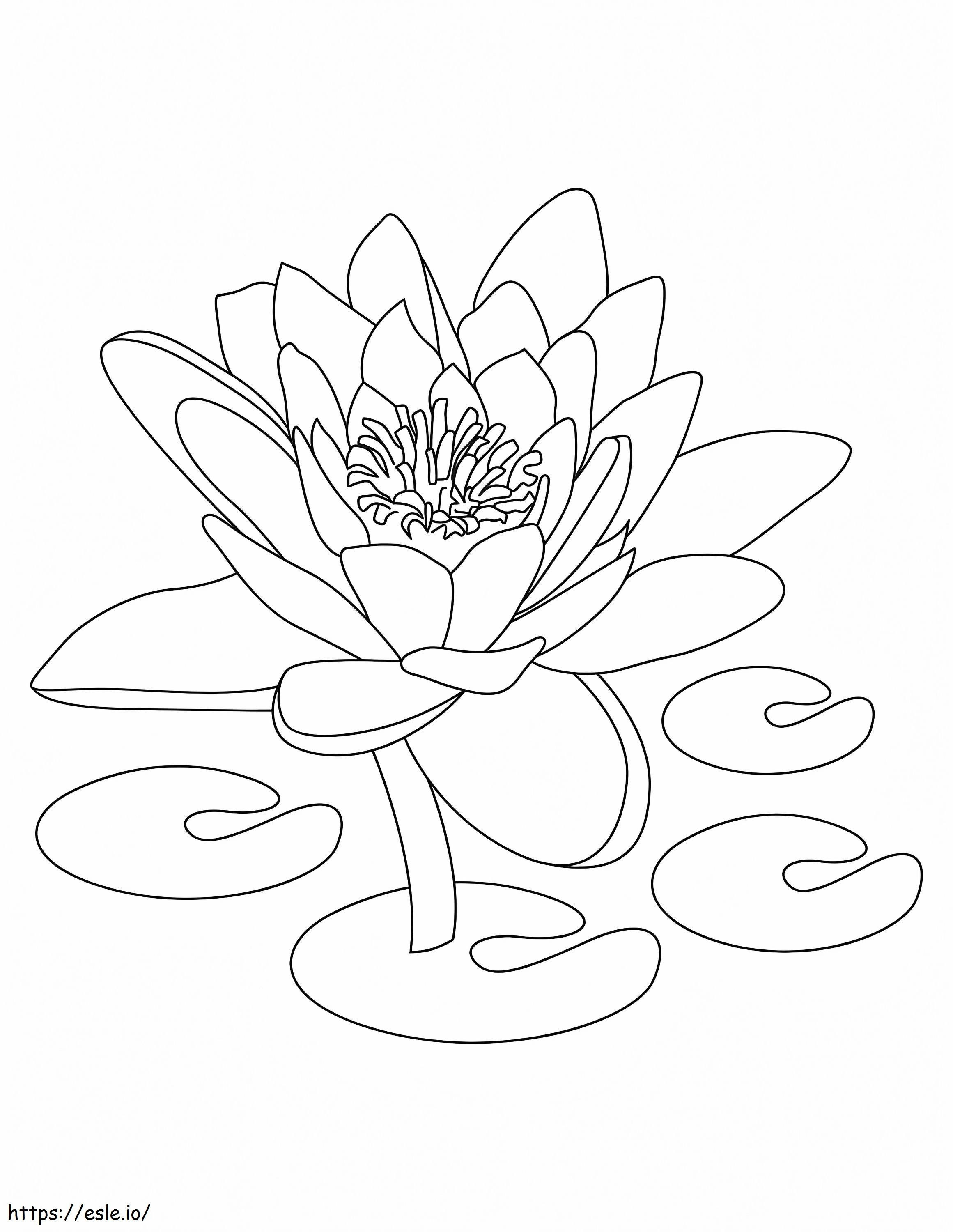 Lotus imprimabil de colorat