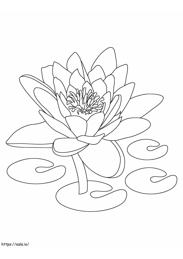 Tulostettava Lotus värityskuva