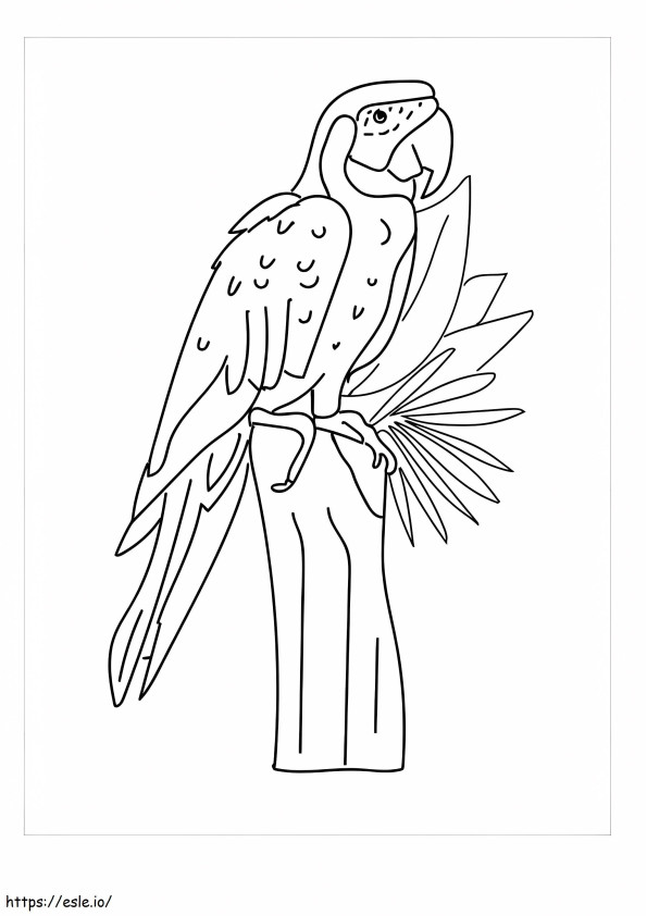 Perfect Macaw coloring page