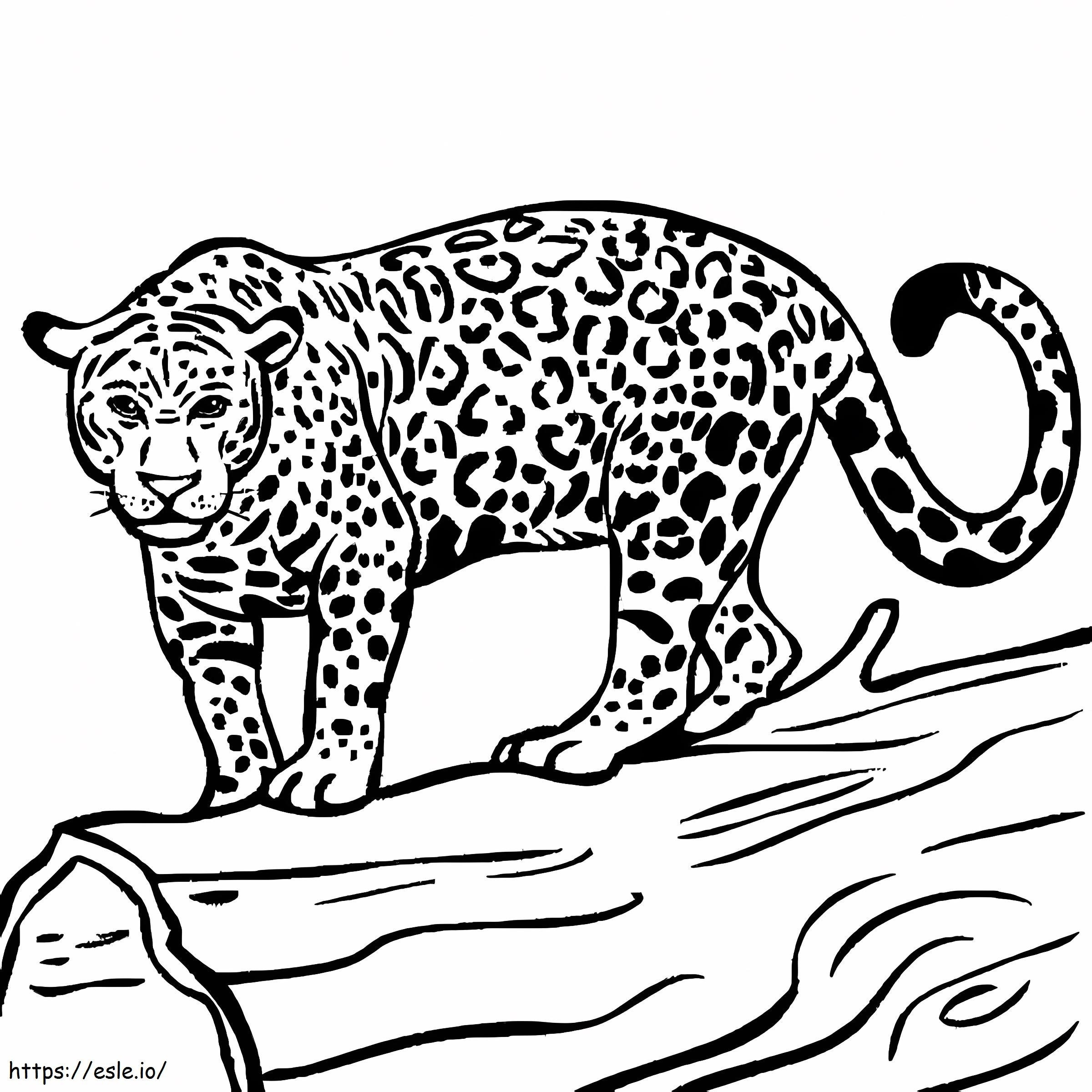 Coloriage Jaguar prêt à chasser à imprimer dessin