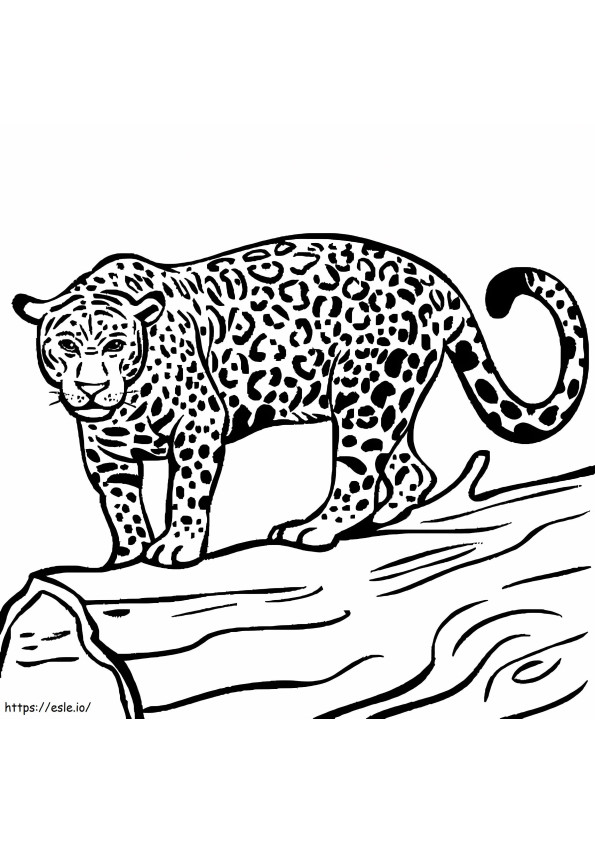 Jaguar gata de vânătoare de colorat
