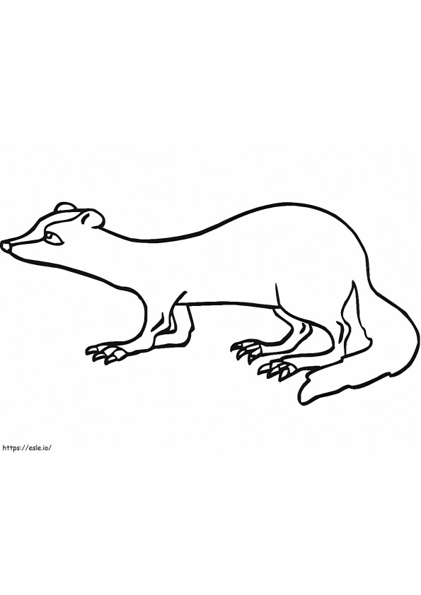 Simple Ferret coloring page