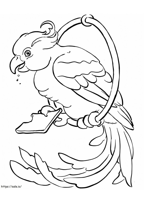 Printable Pet Parrot coloring page