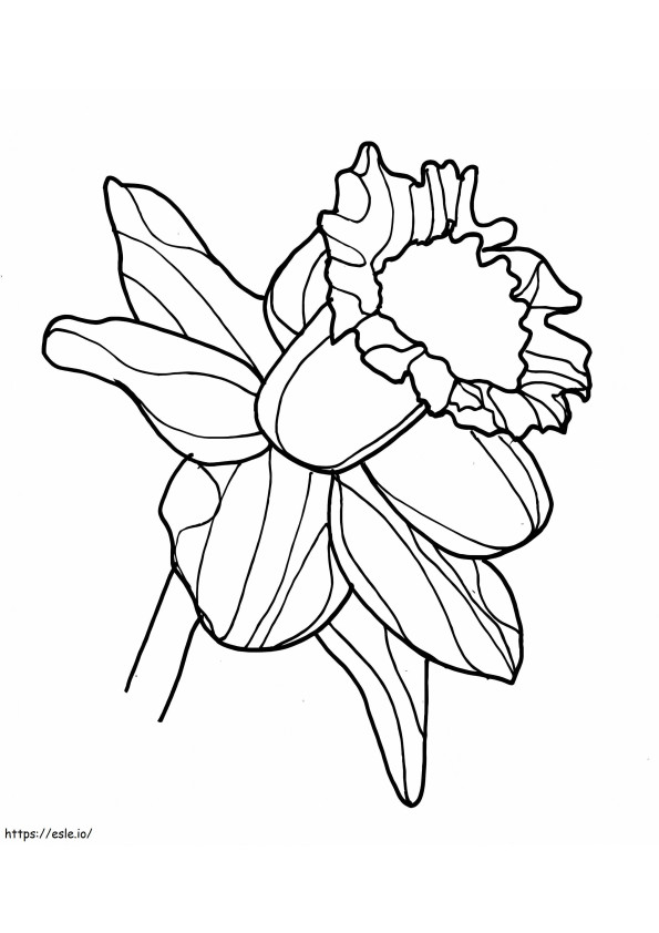 Narciso 2 coloring page