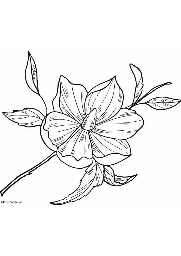 Flor de magnolia 11 para colorear