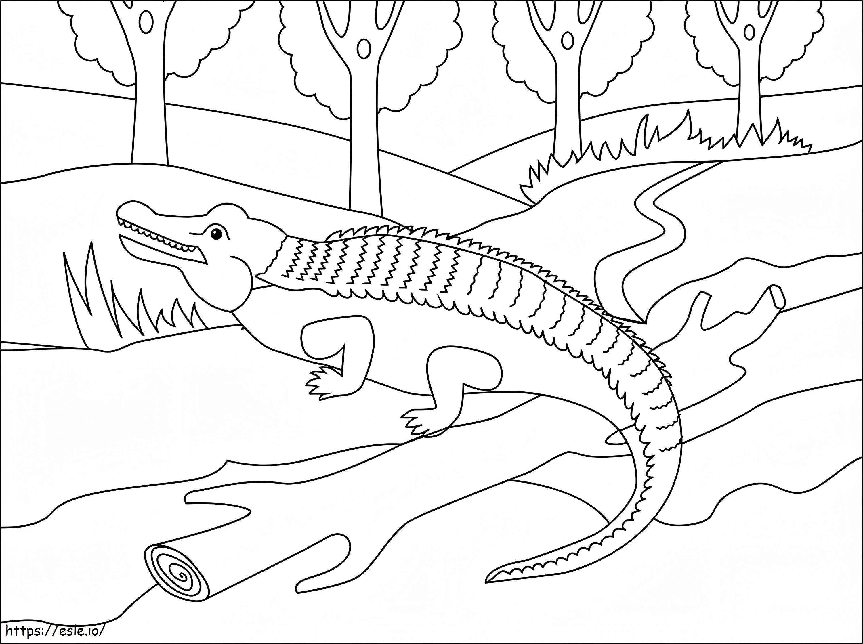 Lihava alligaattori värityskuva