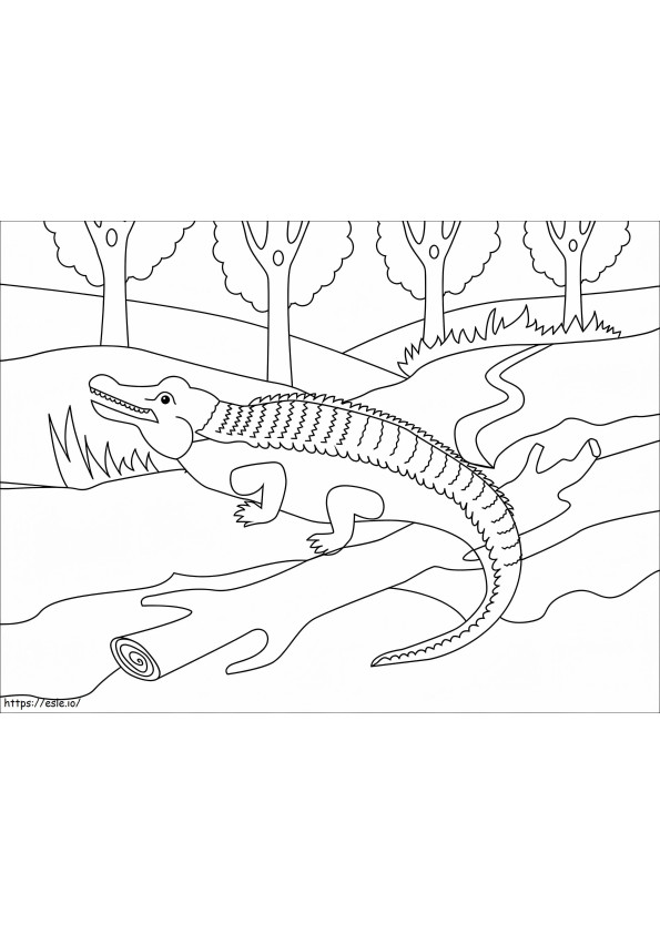Dikke alligator kleurplaat