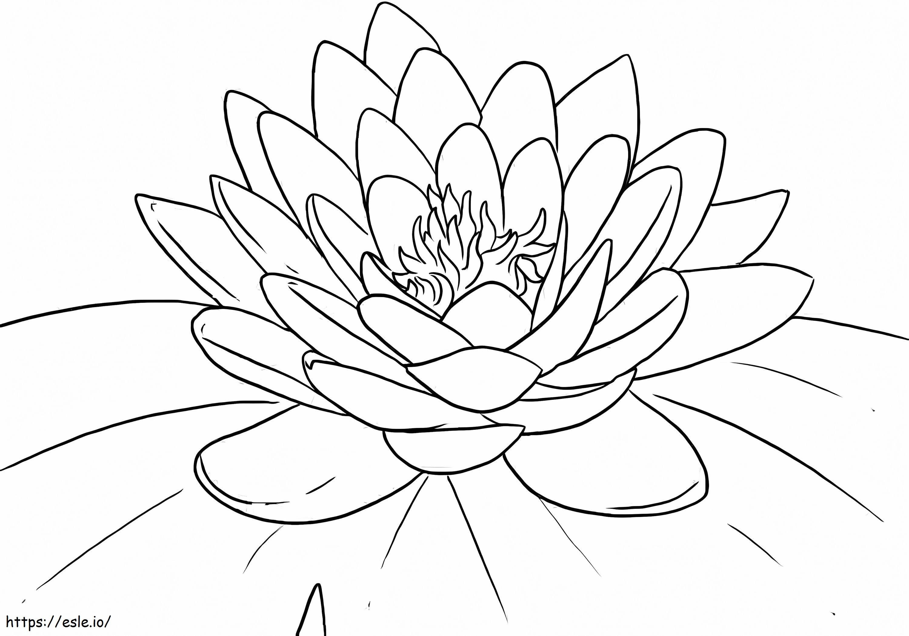 Coloriage Imprimer Lotus à imprimer dessin