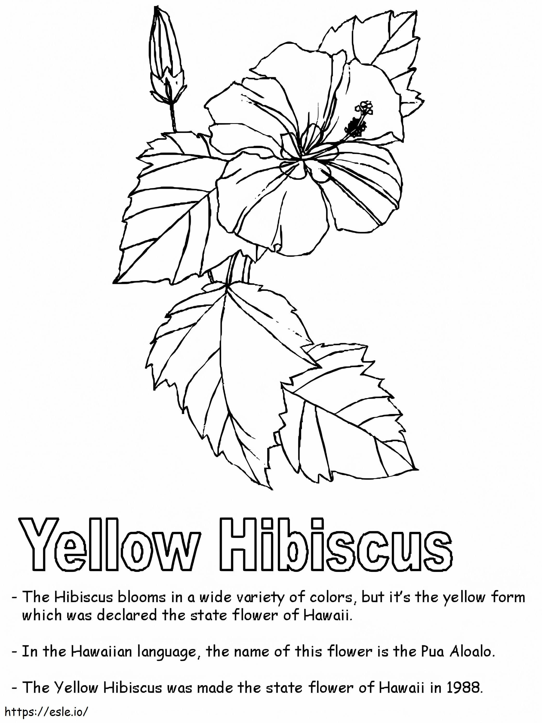Flor de Hibisco 10 para colorir