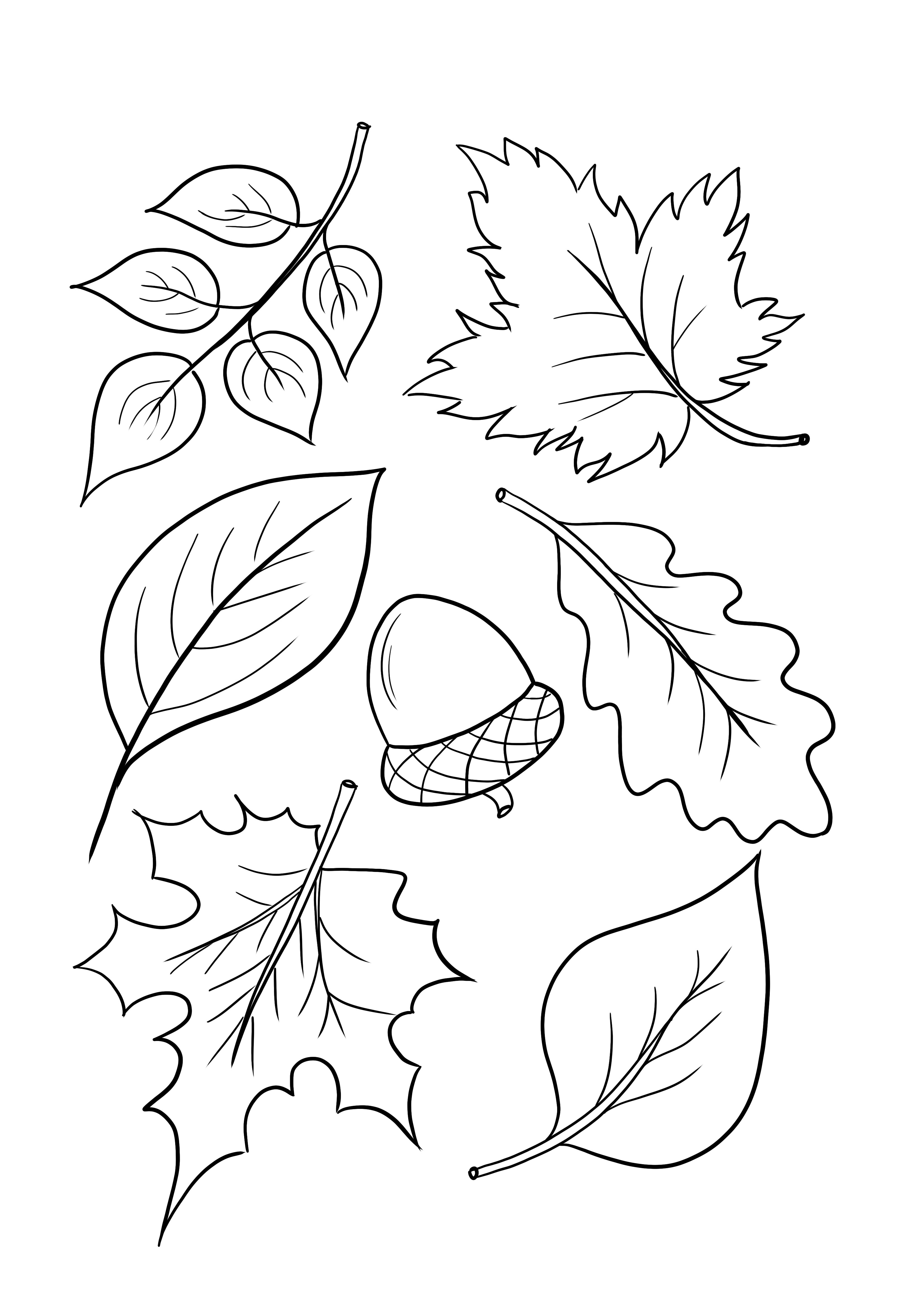 Lehulló őszi levelek és makkmentesen nyomtatható gyerekeknek