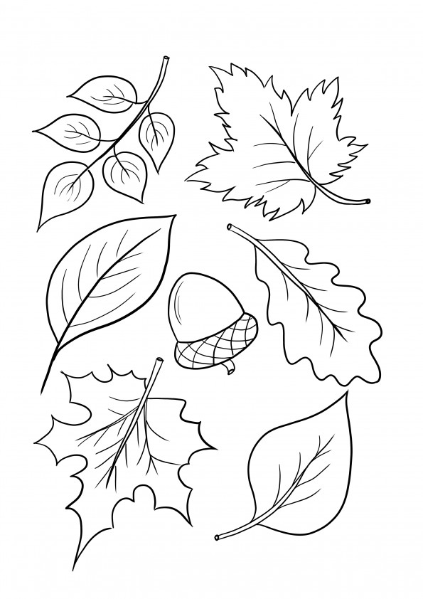 Autumn leaves falling and acorn free printable for kids