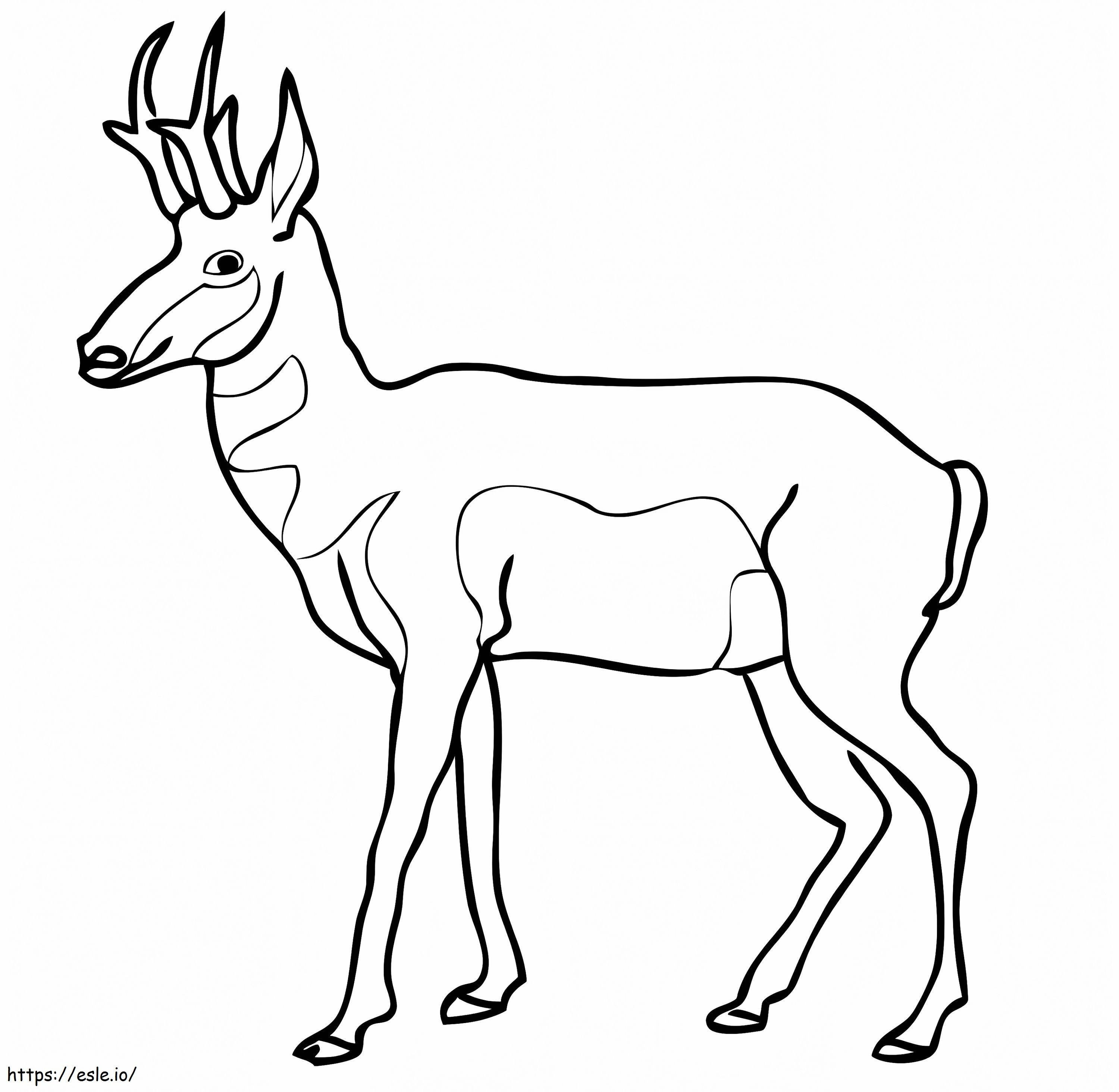 Pronghorn Pohjois-Amerikan antilooppi värityskuva