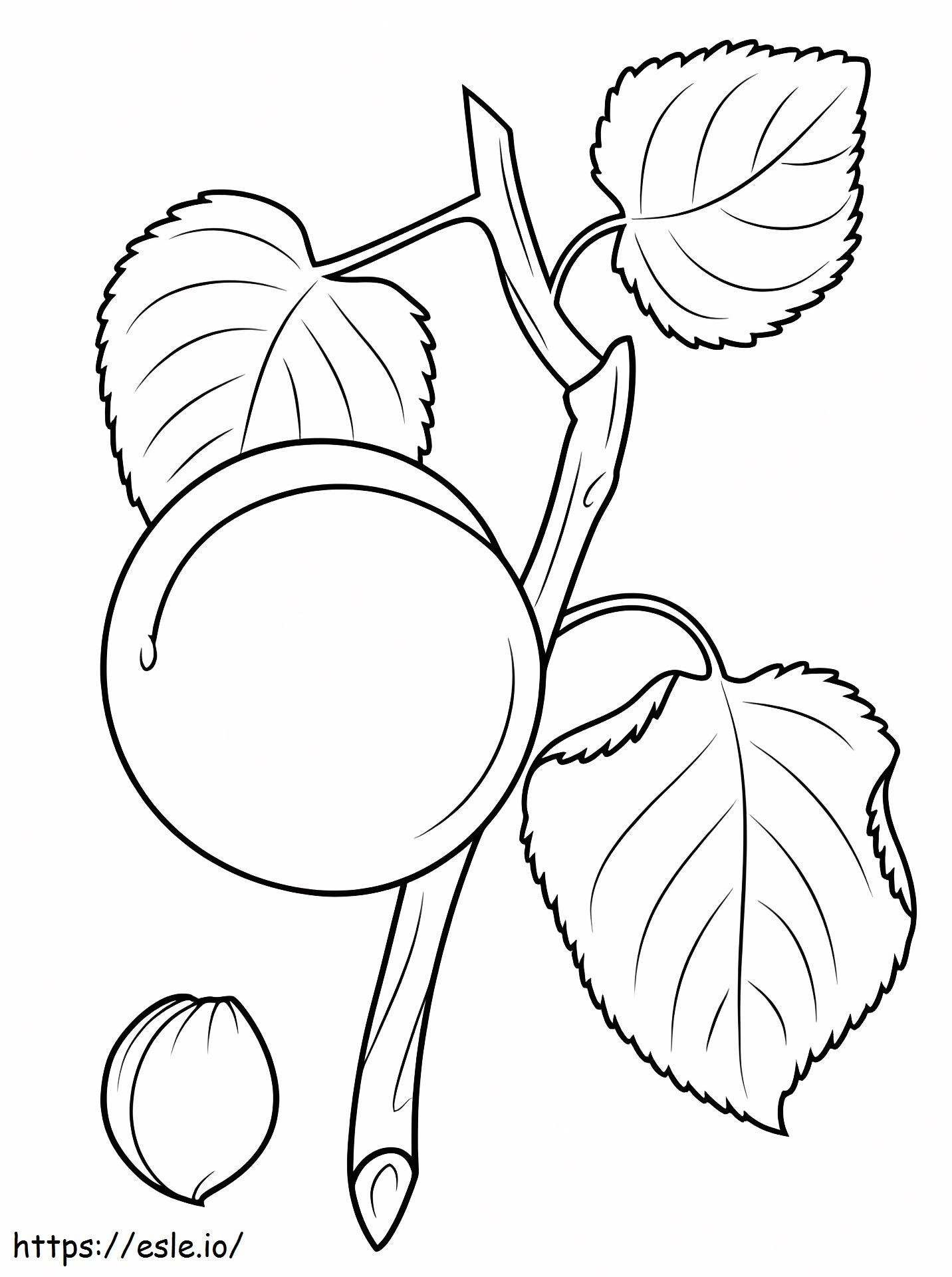 Apricot Branch coloring page
