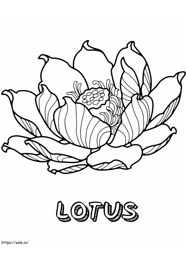 Coloriage Belle fleur de lotus à imprimer dessin