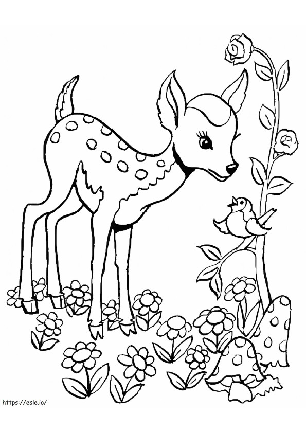 Bird And Fawn coloring page