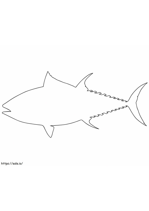 Garis Besar Ikan Tuna Gambar Mewarnai