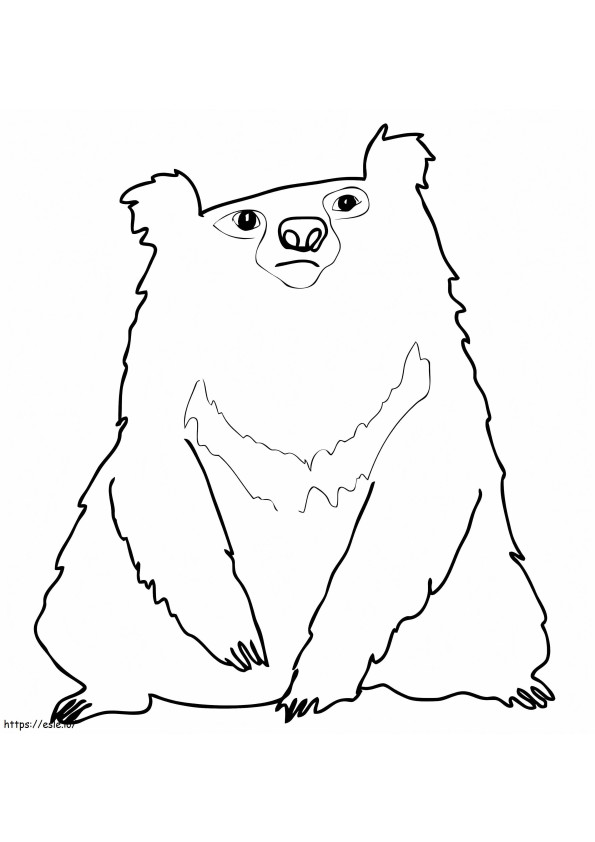 Indyjski niedźwiedź leniwiec kolorowanka