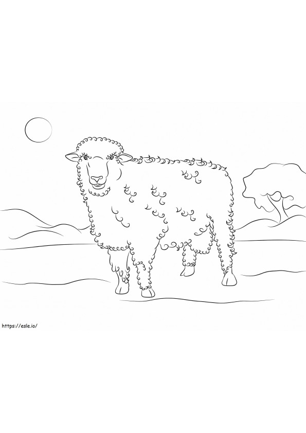 Schapen Gratis Afbeeldingen
