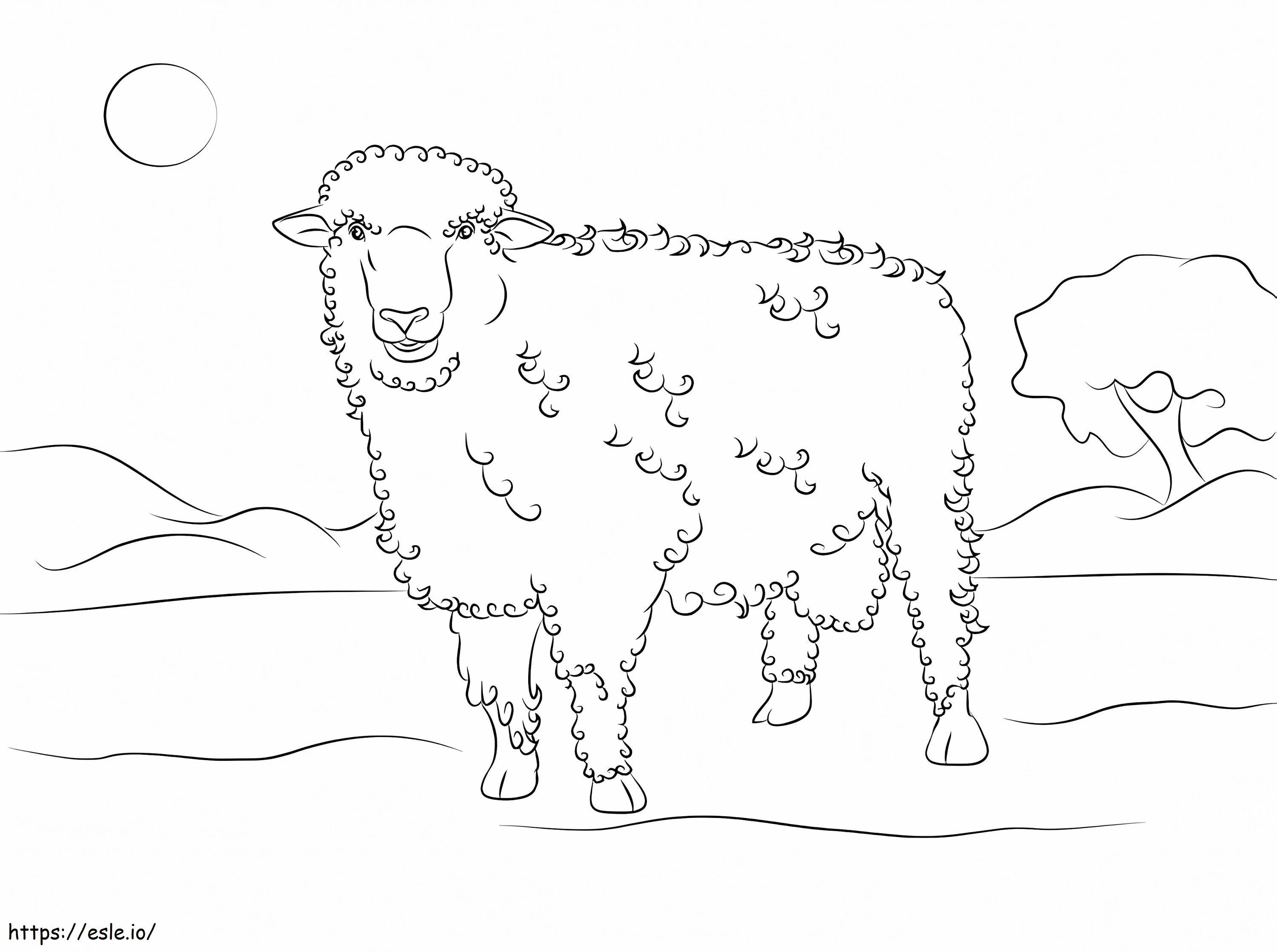 Sheep Free Images Coloring Page