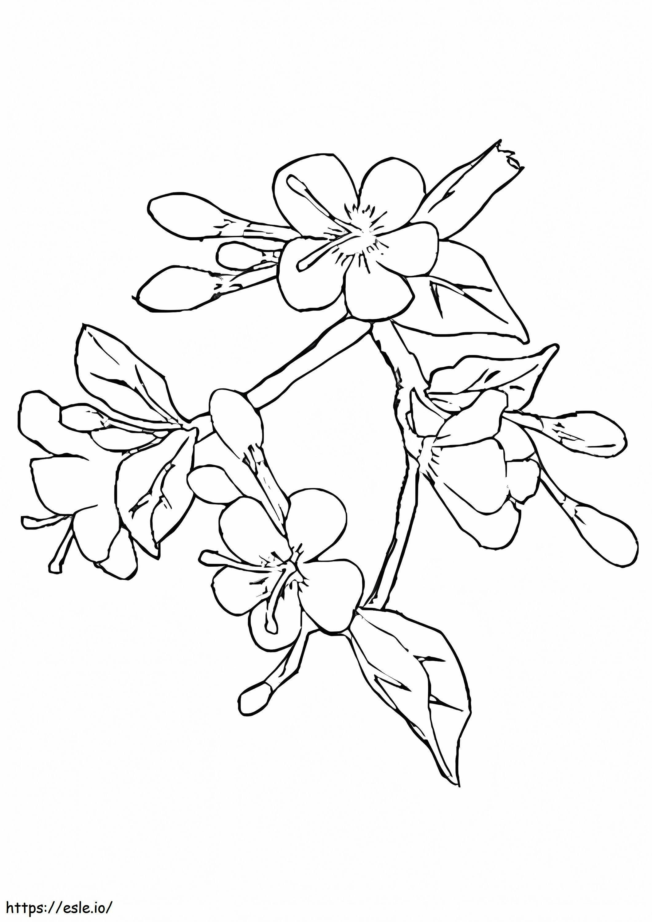 Normal Cherry Blossom coloring page