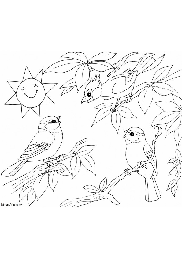 Cute Spring Birds coloring page