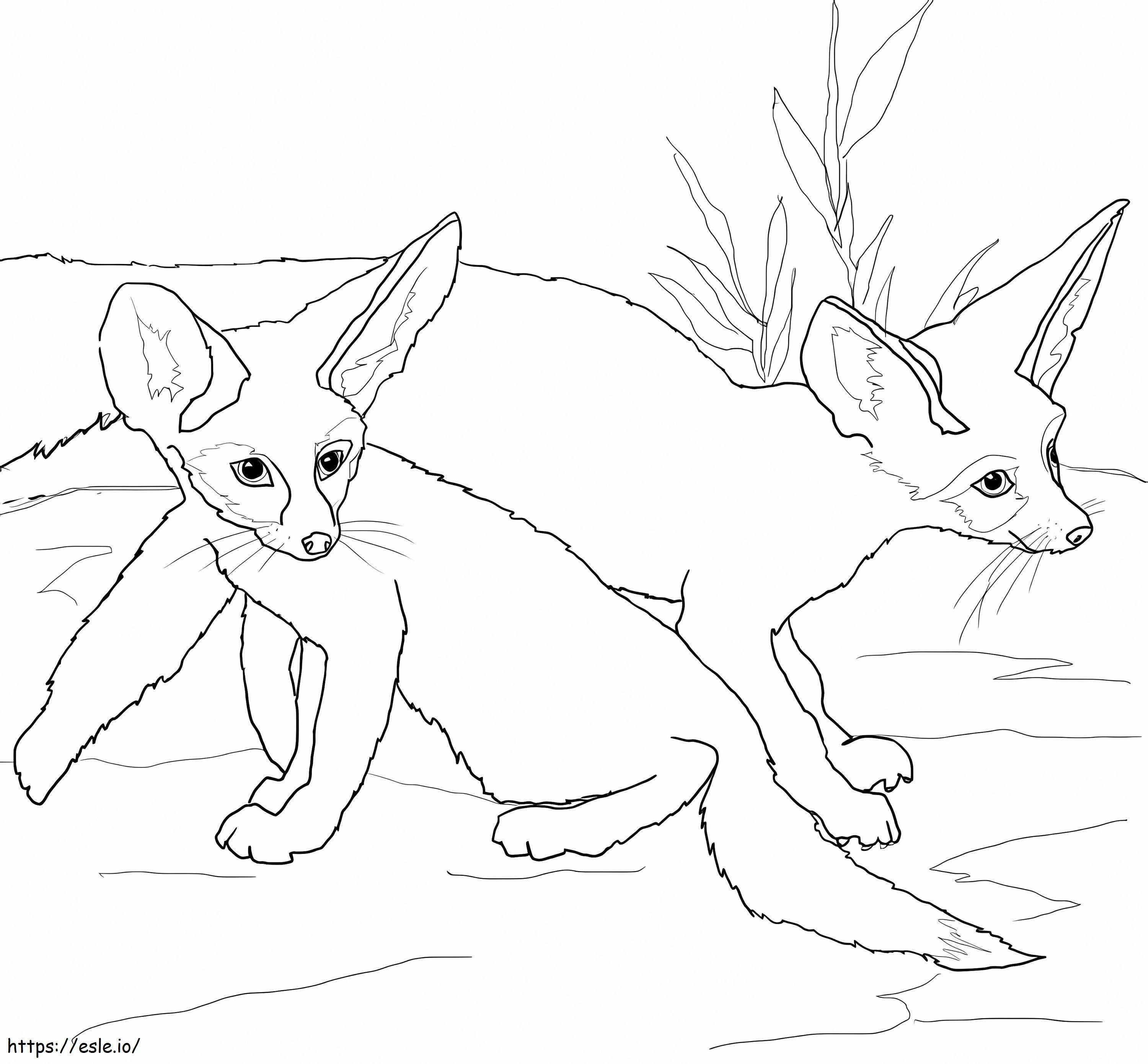 Babies Fennec Foxes coloring page