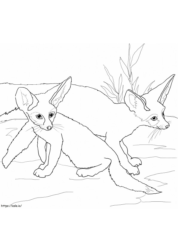 Babies Fennec Foxes coloring page