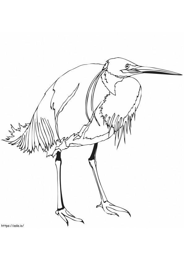 Egretă imprimabilă de colorat