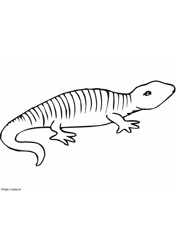 Coloriage Salamandre 1 à imprimer dessin