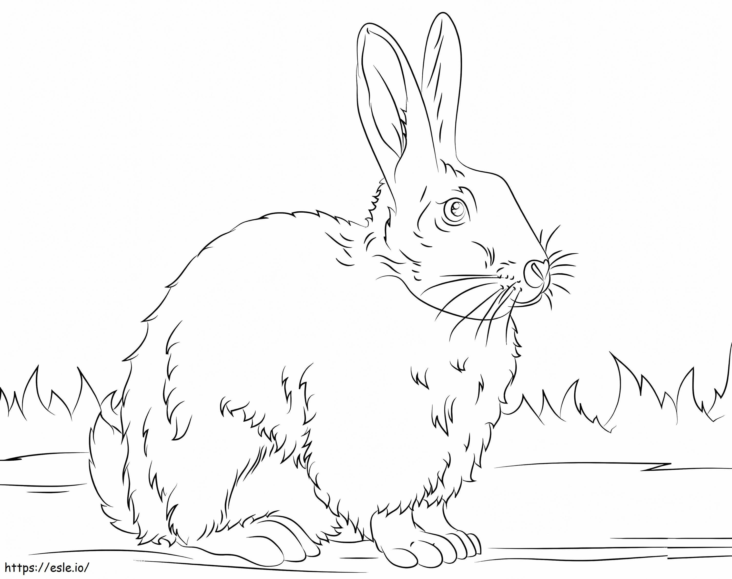 Cute Bunny 3 coloring page