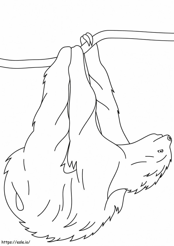 Sloth Hanging On Branch coloring page