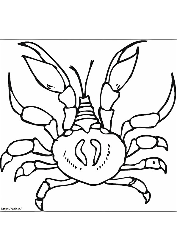 Desen normal Crab de colorat