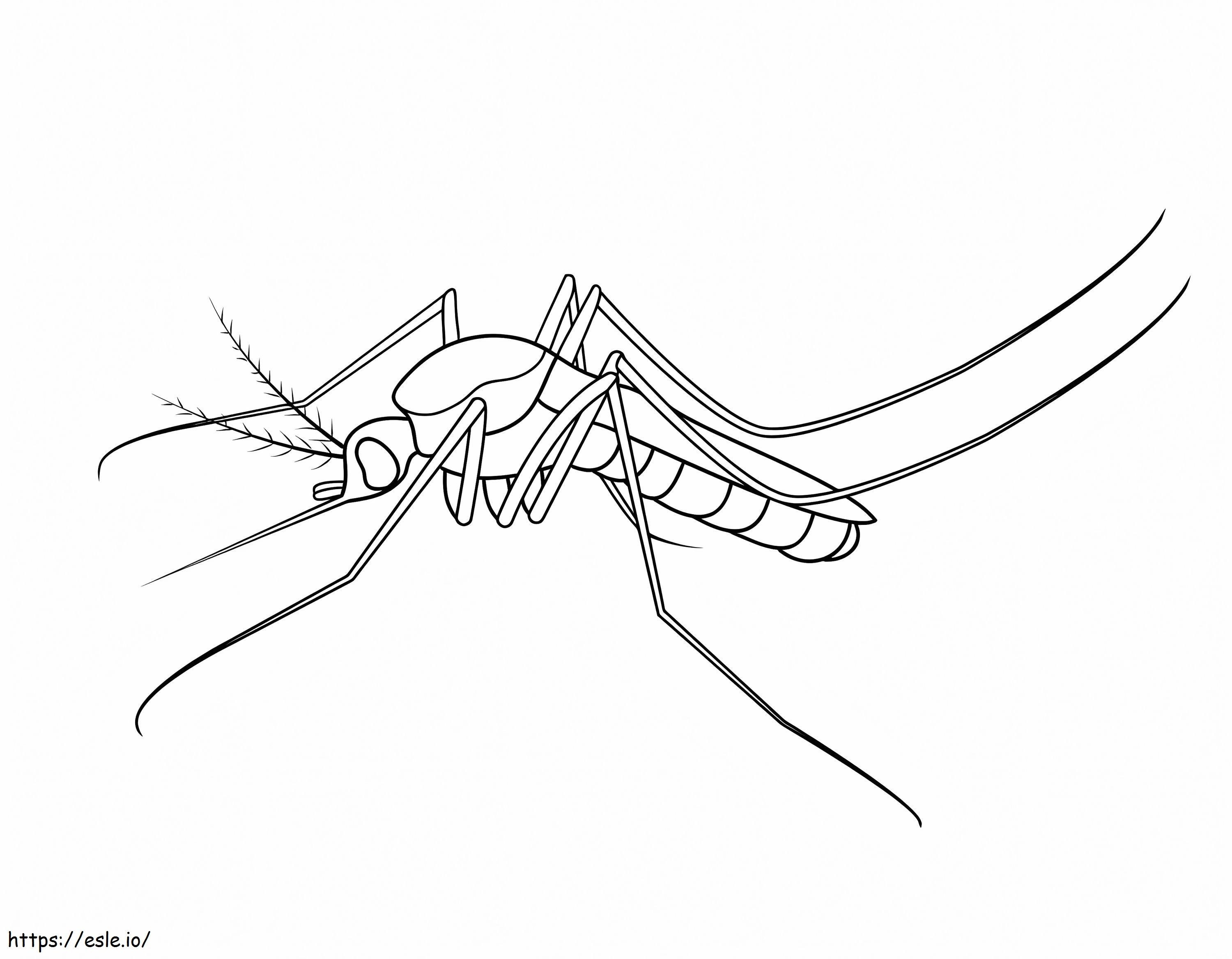 Normal Mosquito coloring page