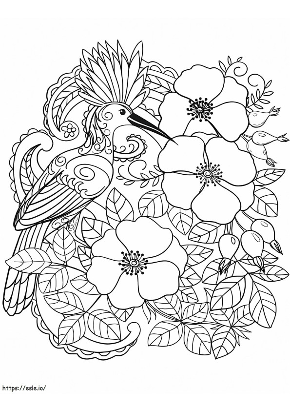 Eurasian Hoopoe coloring page