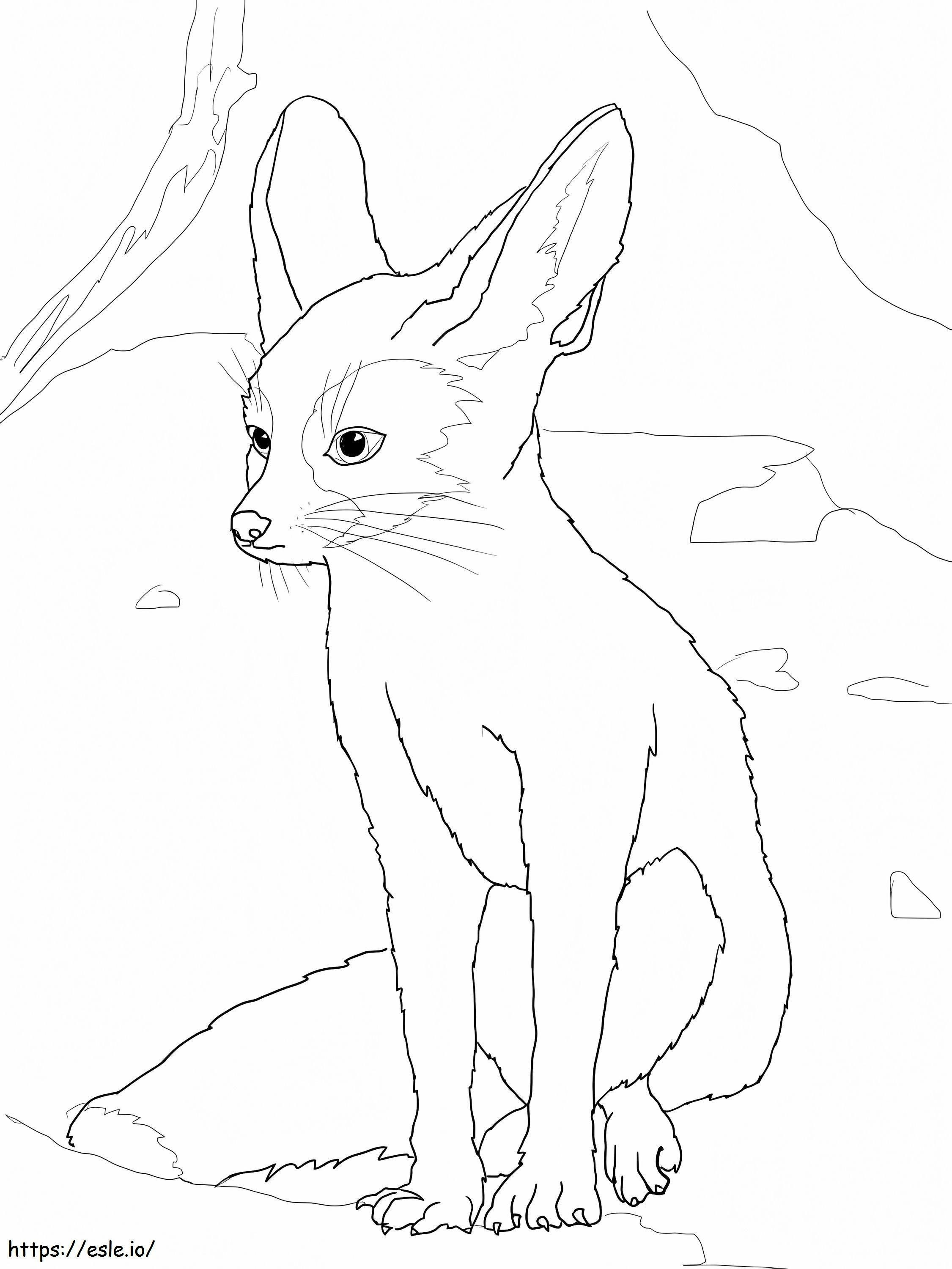 Adorabilă Fennec Fox de colorat