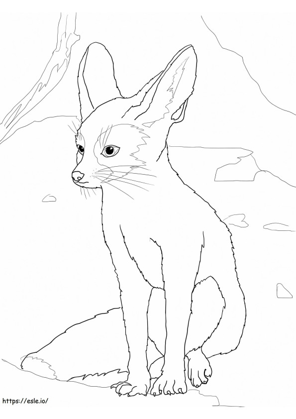 Coloriage Adorable renard Fennec à imprimer dessin