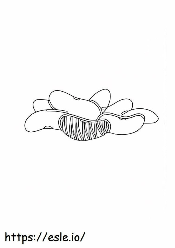 Lima Beans coloring page