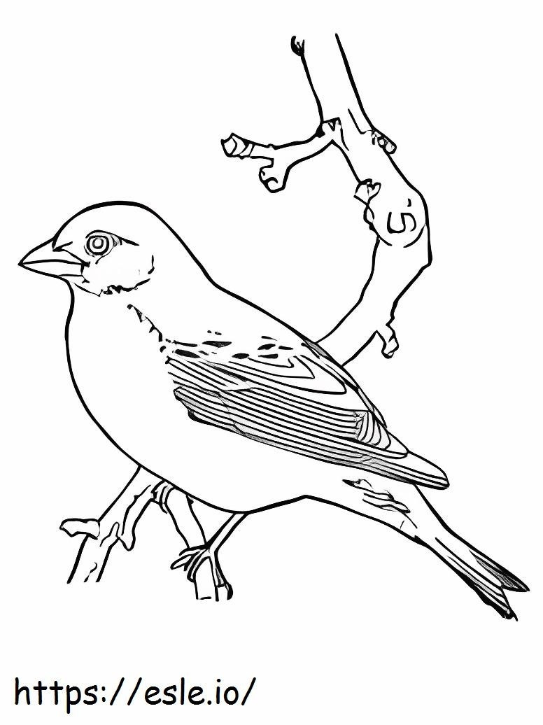 Cute Nightingale coloring page