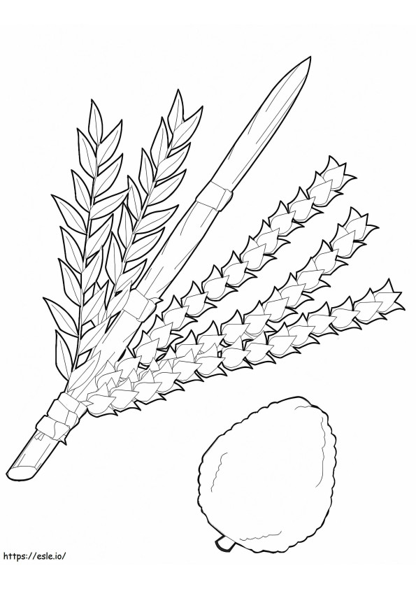 Zokni 4