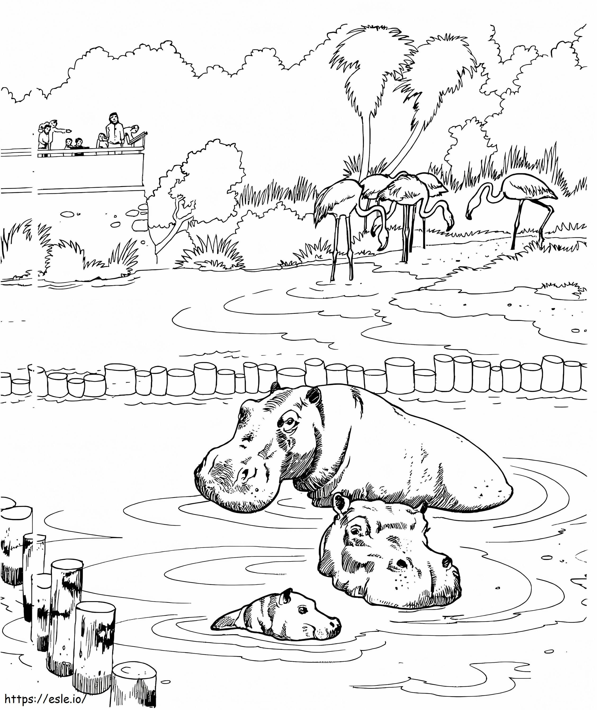 Coloriage Hippopotame dans un zoo à imprimer dessin