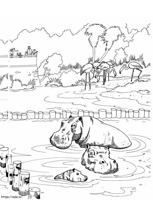 Hipopótamo en un zoológico para colorear