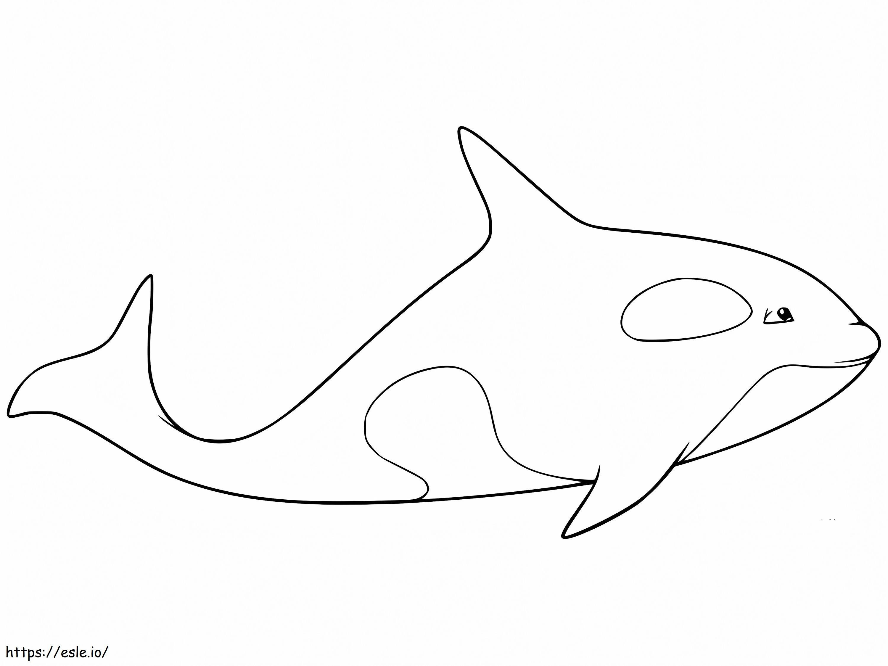 Kardszárnyú bálna nyomtatásra kifestő