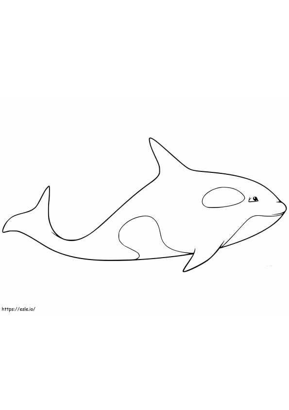 Kardszárnyú bálna nyomtatásra kifestő