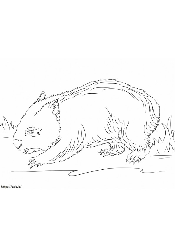 Normale wombat kleurplaat