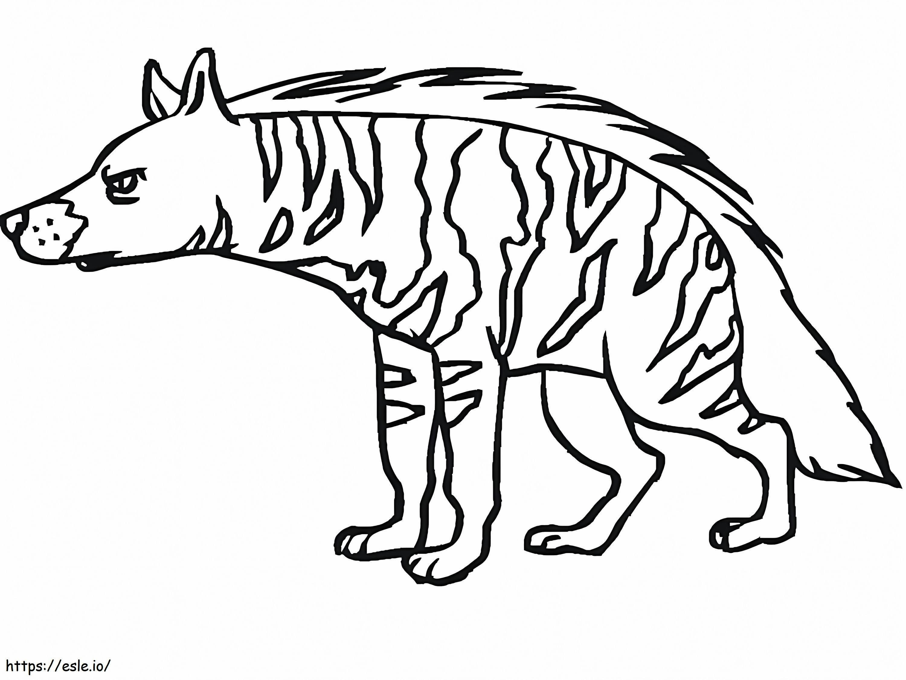 Raidallinen hyena 4 värityskuva