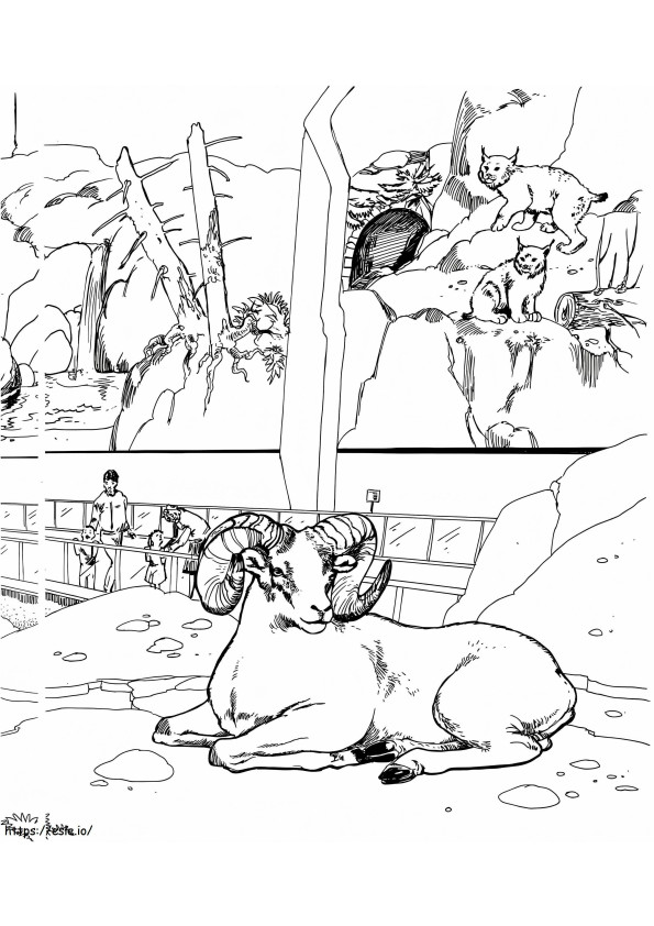 Zoo Animals Printable coloring page