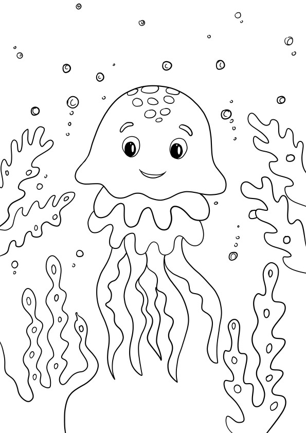 Jellyfish for free printing and downloading image